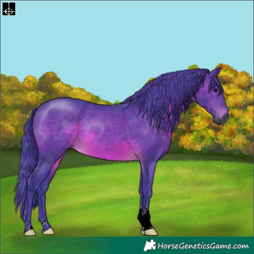 Horse Color:Gray Watercolor Brown