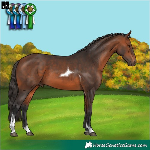 Horse Color:Bay Tobiano 
