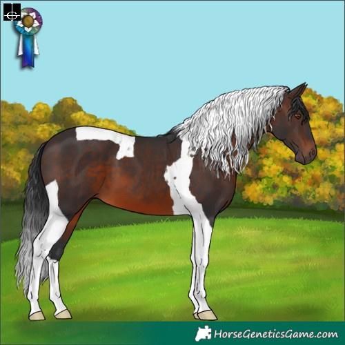 Horse Color:Brown Tobiano