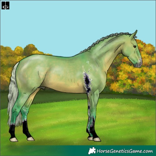 Horse Color:Gray Watercolor Silver Bay Dun Sabino 