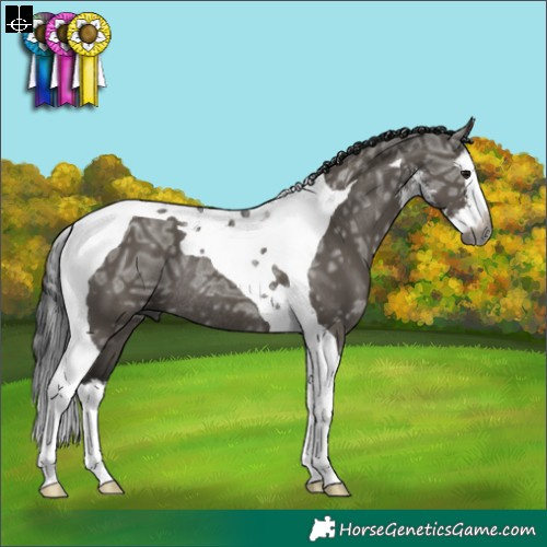 Horse Color:Gray Grullo Ice Sabino Splash Tobiano Rabicano 