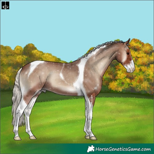Horse Color:Silver Blue Onyx Sabino Tobiano 