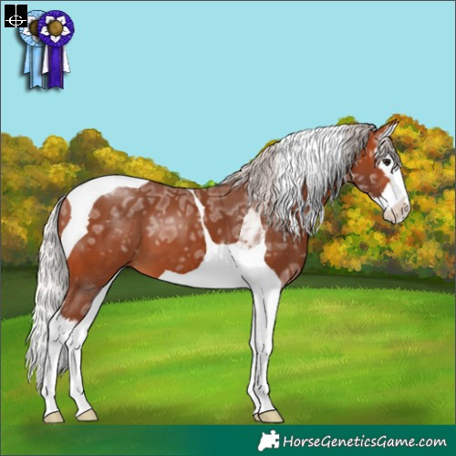Horse Color:Silver Bay Ice Splash Tobiano 