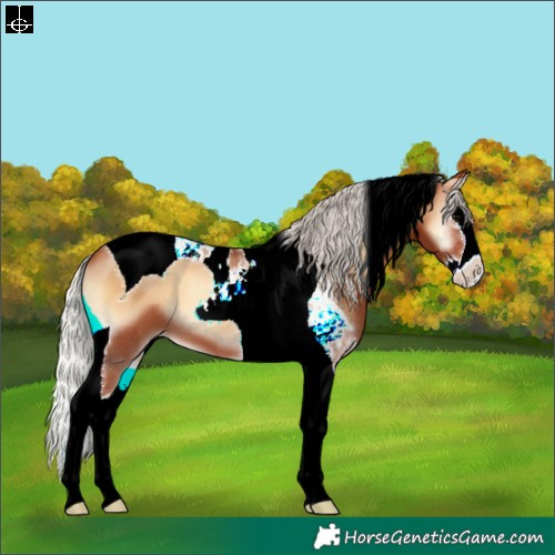 Horse Color:Silver Bay Onyx Splash Tobiano 