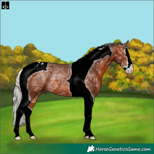 Horse Color:Silver Brown Ice Splash Tobiano Rabicano 
