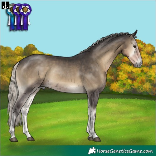 Horse Color:Silver Smoky Blue Onyx Rabicano 
