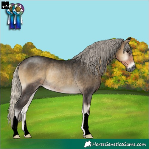 Horse Color:Gray Silver Smoky Blue Onyx Rabicano