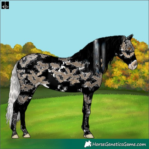 Horse Color:Silver Smoky Grullo Sabino