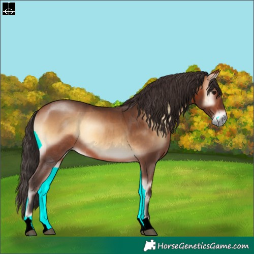 Horse Color:Bay Onyx Rabicano