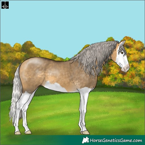 Horse Color:Silver Buckskin Dun Splash