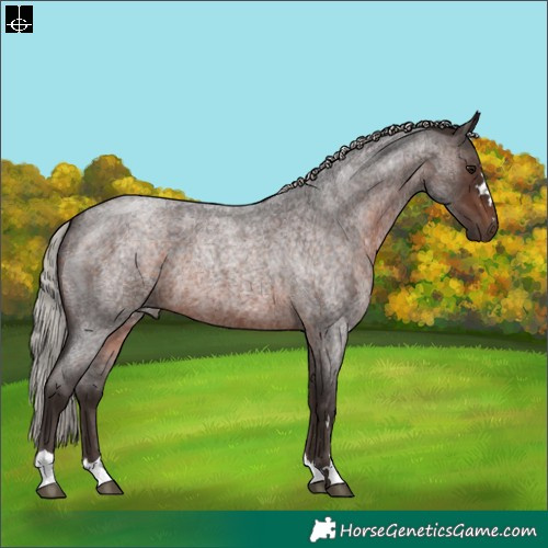 Horse Color:Silver Brown Roan