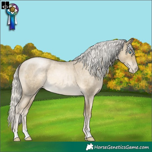 Horse Color:Silver Smoky Blue Roan Pearl