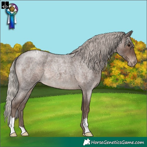 Horse Color:Silver Blue Roan Varnish