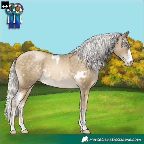 Horse Color:White Spotted Silver Buckskin Pearl Appaloosa