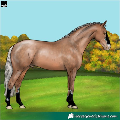 Horse Color:Silver Brown Pearl 