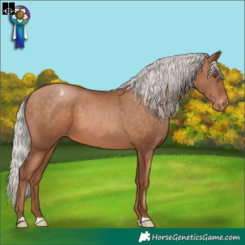 Horse Color:Silver Brown Pearl Appaloosa 