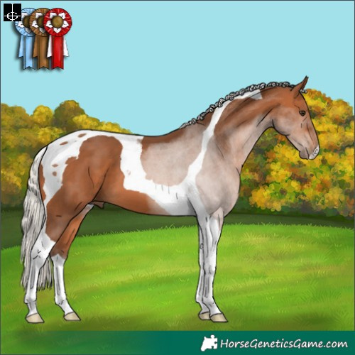 Horse Color:Silver Bay Tobiano 