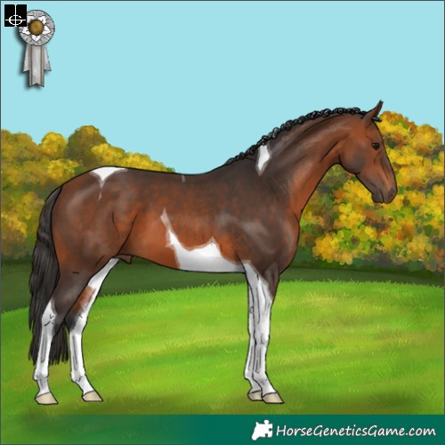 Horse Color:Bay Tobiano 