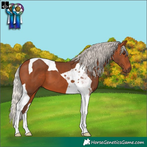 Horse Color:Silver Brown Tobiano