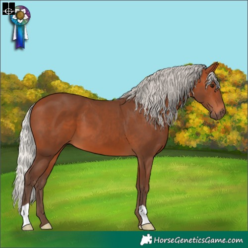 Horse Color:Silver Brown