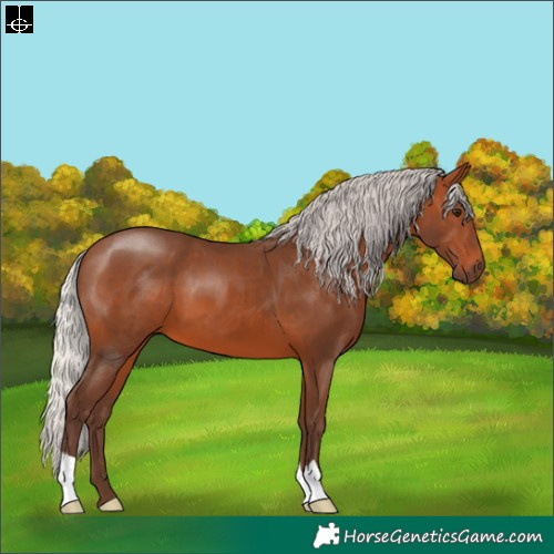 Horse Color:Silver Brown
