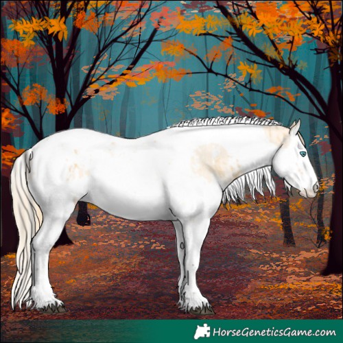 Horse Color:Buckskin Splash Tobiano  and Buckskin Pearl Splash Tobiano 