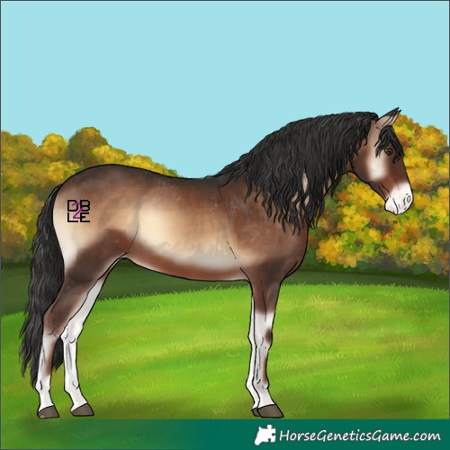 Horse Color:Liver Red Onyx Varnish Rabicano 