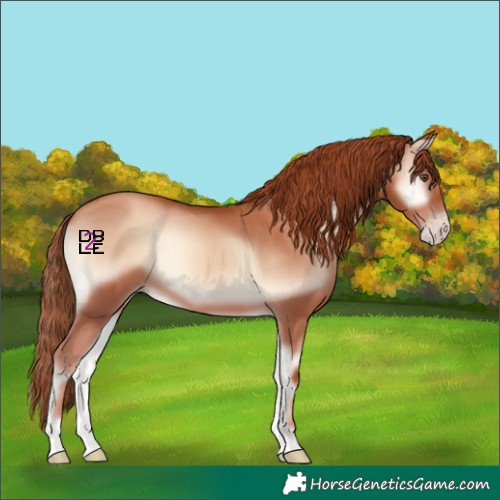 Horse Color:Gold Champagne Onyx Rabicano 