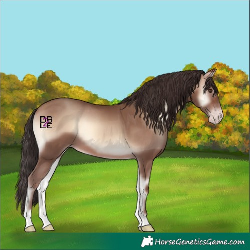 Horse Color:Sable Champagne Onyx