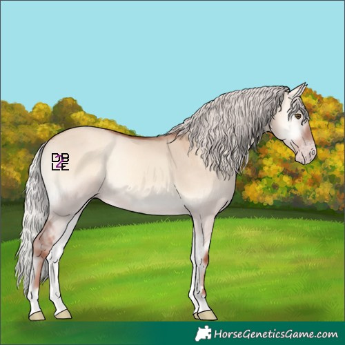 Horse Color:Silver Sable Champagne Onyx
