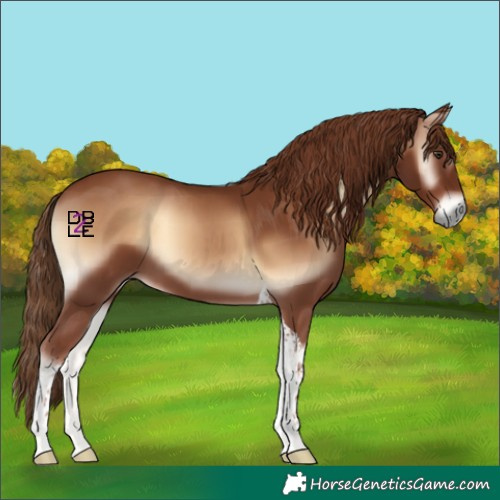 Horse Color:Red Onyx Tobiano