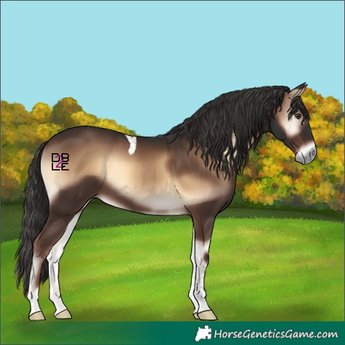 Horse Color:Liver Red Onyx Tobiano Rabicano 