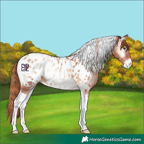 Horse Color:Gold Champagne Onyx Tobiano Near Leopard