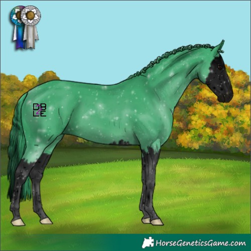 Horse Color:Void Watercolor Black Splash 