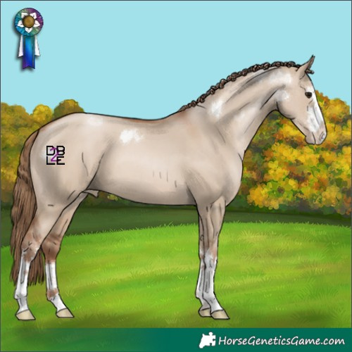 Horse Color:Grullo Pearl 