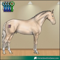 Horse Color:Palomino Pearl
