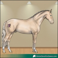 Horse Color:Palomino Pearl
