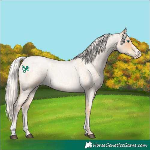Horse Color:Powder White Silver Buckskin Roan Snowdrop