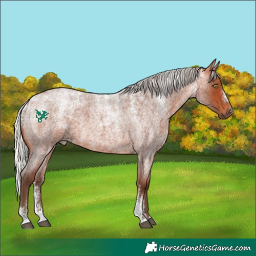 Horse Color:Powder White Silver Bay Roan
