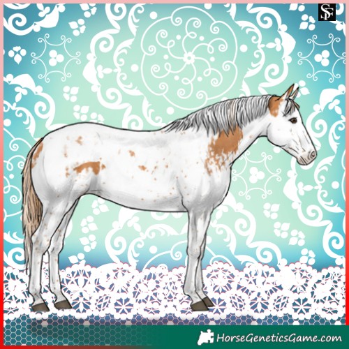 Horse Color:Chestnut Splash Tobiano  and Chestnut Splash Tobiano 