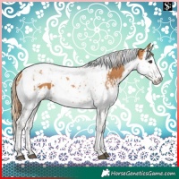 Horse Color:Chestnut Splash Tobiano  and Chestnut Splash Tobiano 