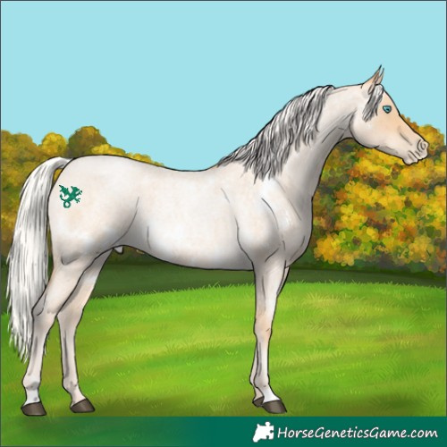 Horse Color:White Spotted Silver Bay Roan Snowdrop Pearl 
