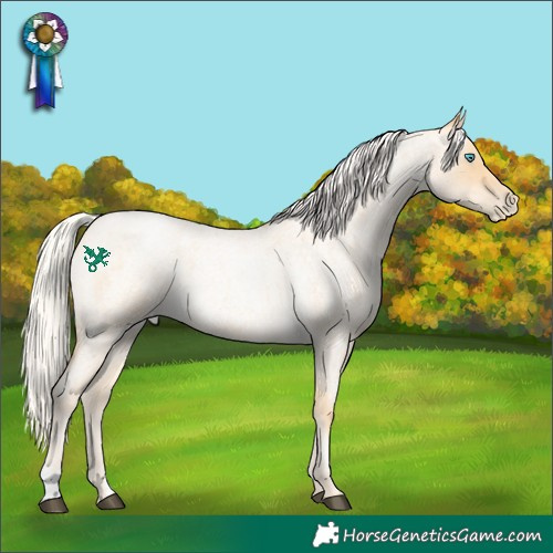 Horse Color:Silver Buckskin Roan Pearl 