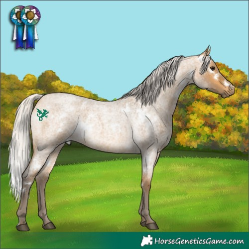Horse Color:White Spotted Silver Buckskin Roan