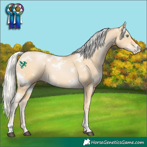 Horse Color:White Spotted Silver Buckskin Pearl 