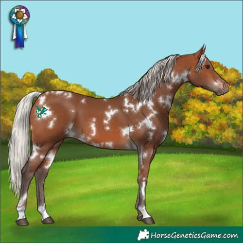 Horse Color:White Spotted Silver Brown 