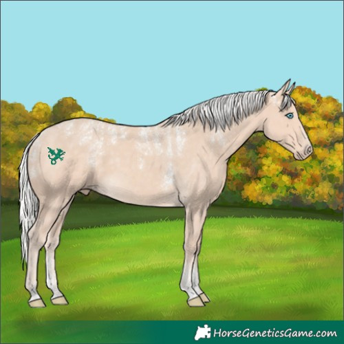 Horse Color:Powder White Silver Perlino 
