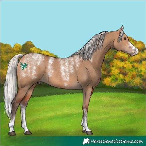 Horse Color:Powder White Silver Bay Dun
