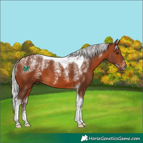 Horse Color:Powder White Silver Brown Tobiano 