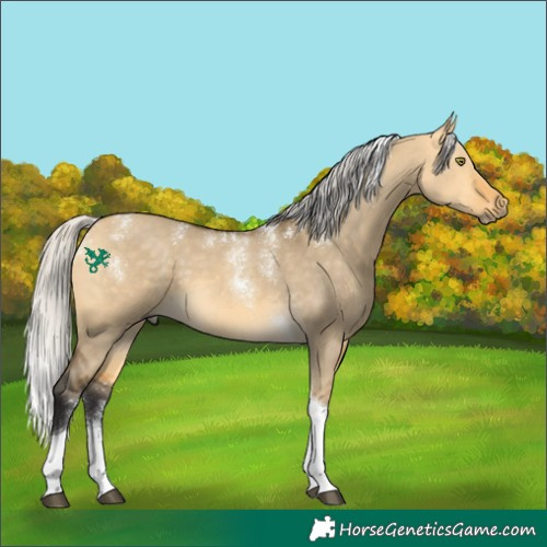 Horse Color:Powder White Silver Buckskin Dun Tobiano